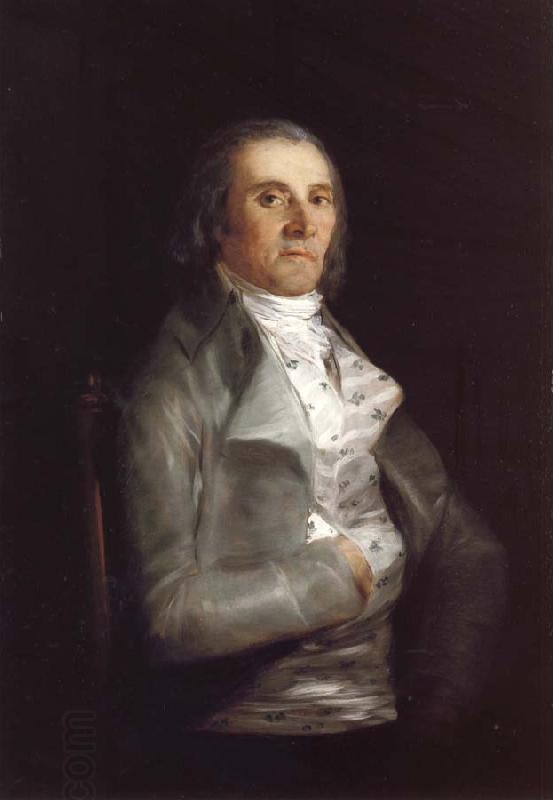 Francisco de Goya Don Andres del Peral oil painting picture